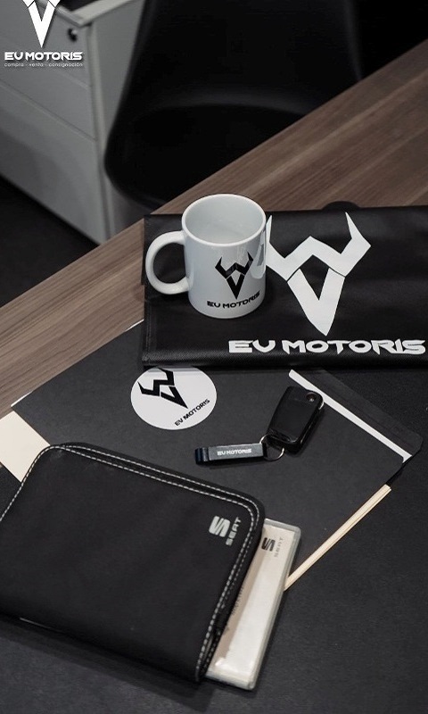 EVMOTORIS100